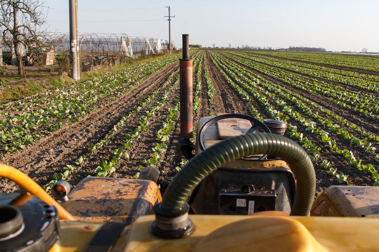A tractor navigating through a lush, green cropland during the day. Ideal for agriculture themes.